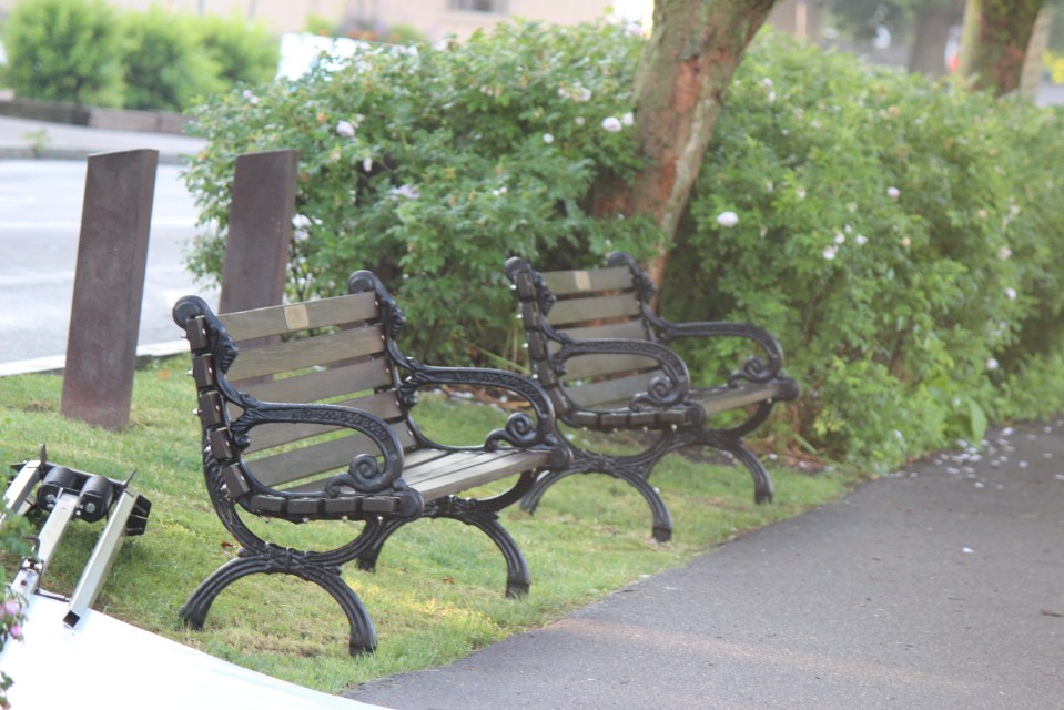 One morning on the Erie Canal&nbsp;6/18/2021