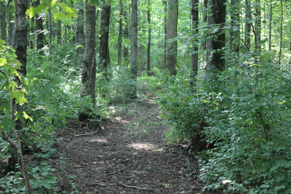 A Mid-September Morning