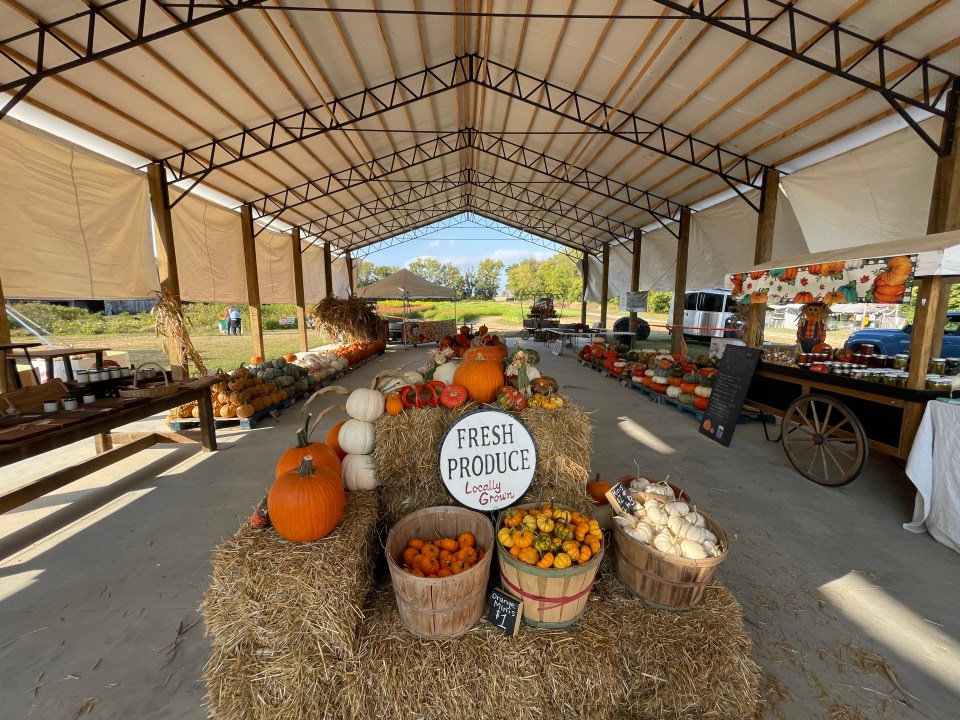 And the winner&nbsp;is…